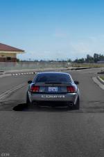 Ford Mustang SVT Cobra on CCW Wheels 2003 года